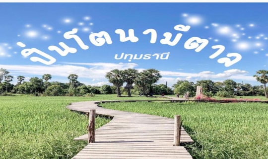 Cover ร้านข้าวแกงรสเด็ด  " ปิ่นโตนามีตาล " กับวิวทุ่งนา สไตล์บาหลี...