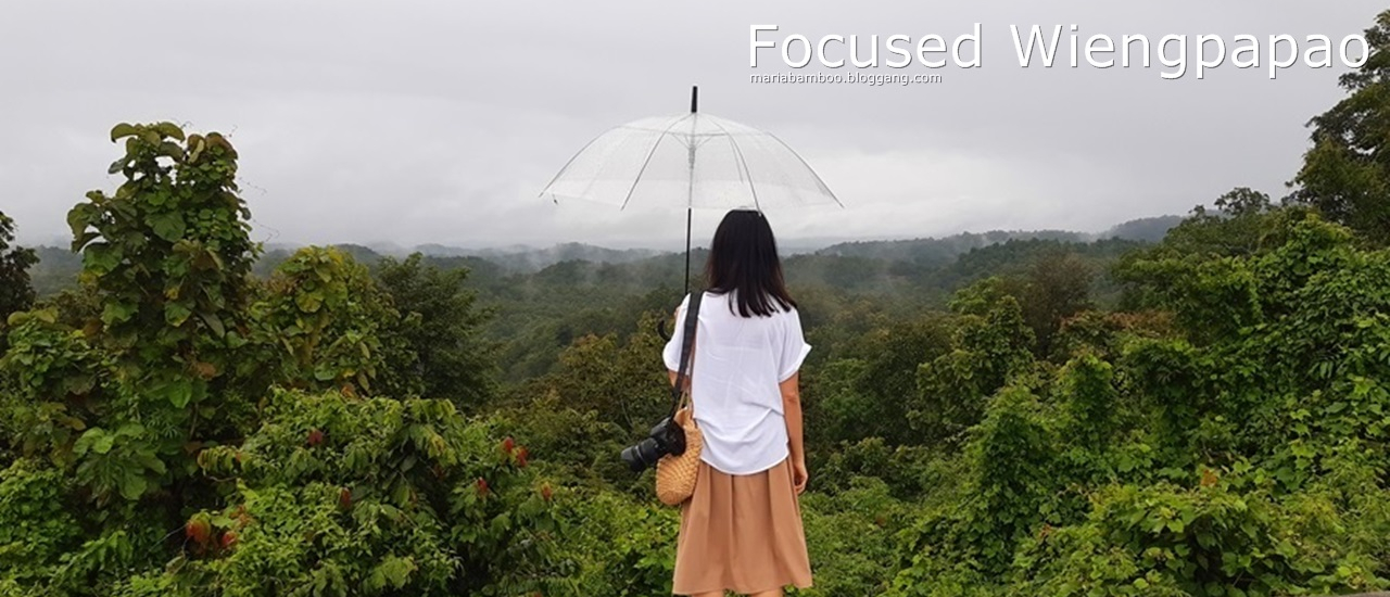 cover Focused Wiengpapao - เที่ยวเมืองผ่านในหนึ่งวัน
