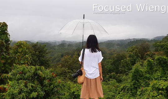 cover Focused Wiengpapao - เที่ยวเมืองผ่านในหนึ่งวัน