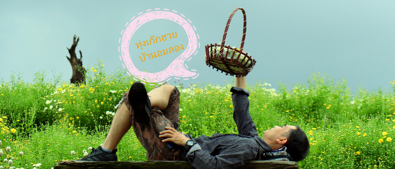 cover ทุ่งเก๊กฮวย บ้านอมลอง เชียงใหม่ บานแล้วเจ้า^^