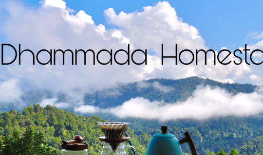 cover นอนพักชิวๆชมวิวหลักล้านที่ ‘ธรรมดา โฮมสเตย์’ เชียงใหม่