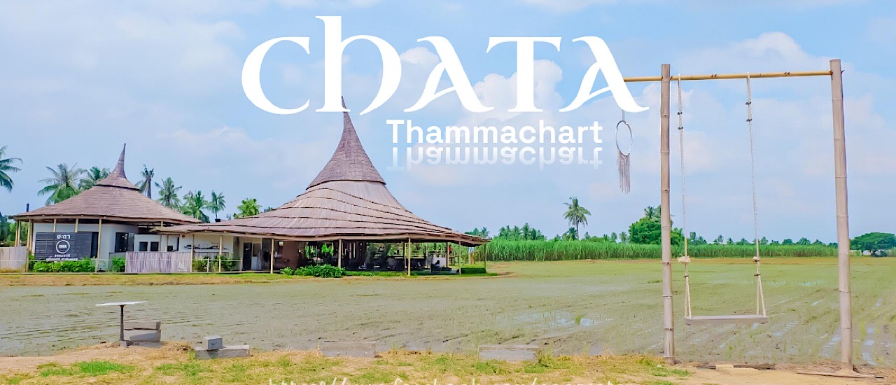 cover ชะตาธรรมชาติ 🌾 คาเฟ่กลางทุ่งนา นครปฐม ธรรมชาติที่ไม่ไกลจากกรุงเทพฯ