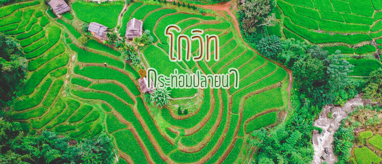 cover ที่พักแจ่ม ๆ ณ แม่แจ่ม