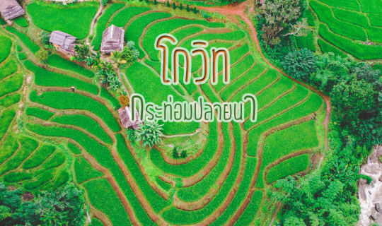 cover ที่พักแจ่ม ๆ ณ แม่แจ่ม