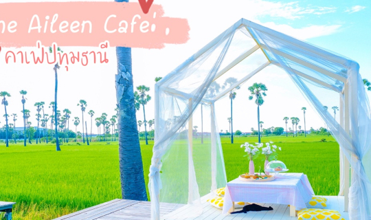 cover คาเฟ่วิวทุ่งนา | ดงตาล... มุมถ่ายรูปเพียบ!!