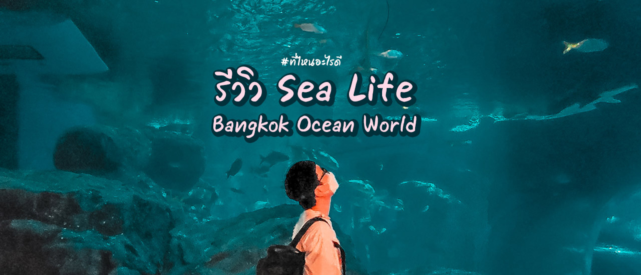 cover Sea Life Bangkok Ocean World รีวิวให้ดู
