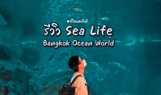 Cover Sea Life Bangkok Ocean World รีวิวให้ดู...