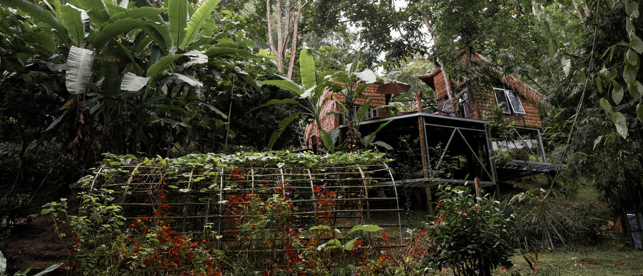 cover อยู่เถื่อน ณ สวนเกาะ เชียงดาว ขับมอไซค์ขึ้นสันป่าเกี๊ยะ ดอยแม่ตะมาน เหนียวที่ พี่น้อง EP.7