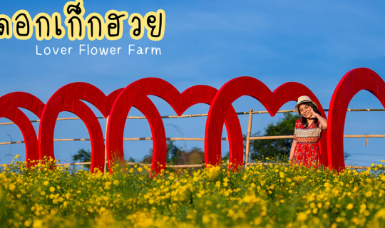 Cover Lover Flower Farm - เลิฟเวอร์ฟลาวเวอร์ฟาร์ม...