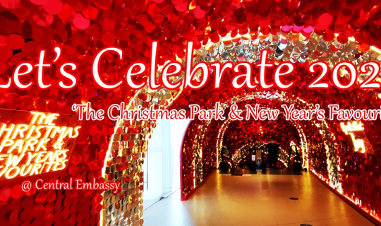 Cover อลังการกับต้นคริสต์มาสยักษ์ประดับด้วยพันธุ์ไม้เขียวขจี สูงที่สุดในเอ...