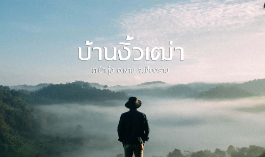 cover One Day Trip ชมทะเลหมอกที่บ้านงิ้วเฒ่า