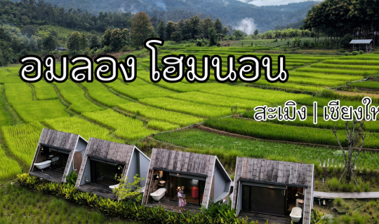 Cover Review : อมลอง โฮมนอน โฮมสเตย์เปิดใหม่ สะเมิง เชียงใหม่...