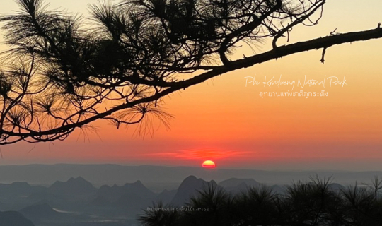 cover "ภูกระดึงหน้าหนาว " เที่ยวยังไงให้ลำบากกกกกก