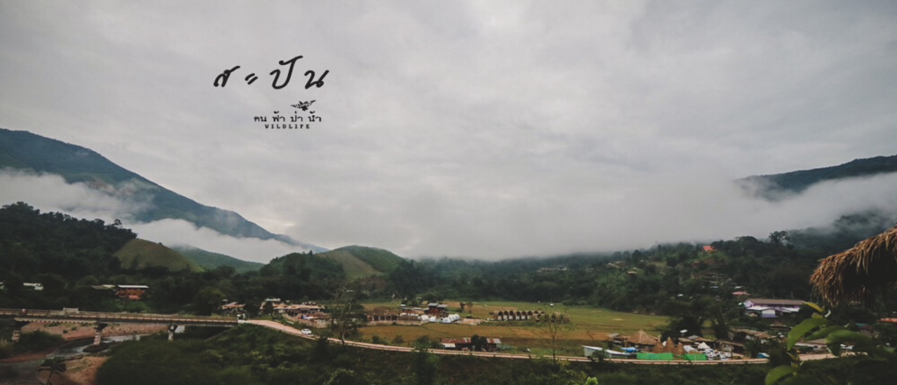 cover สะปัน มีโค้ง มีเขา มีเรา….