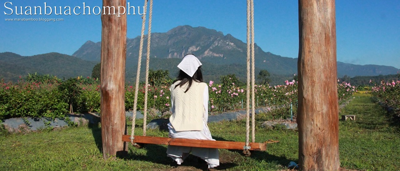 cover สวนบัวชมพูเชียงดาวให้อะไรที่มากกว่าลานกางเต้นท์