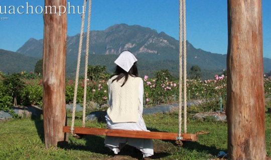 cover สวนบัวชมพูเชียงดาวให้อะไรที่มากกว่าลานกางเต้นท์