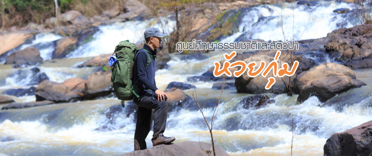 cover ท่องเที่ยวศูนย์ศึกษาธรรมชาติและสัตว์ป่าห้วยกุ่ม จ.ชัยภูมิ