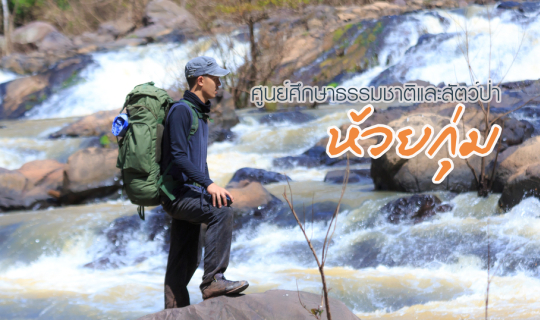 cover ท่องเที่ยวศูนย์ศึกษาธรรมชาติและสัตว์ป่าห้วยกุ่ม จ.ชัยภูมิ