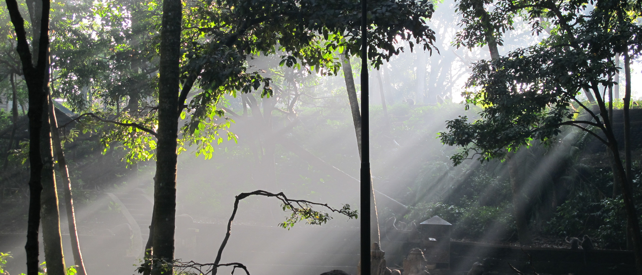 cover Walk In … Indonesia ตอนที่ 8 จากตลาดเช้า สู่แดดยามเช้าที่ป่าลิง