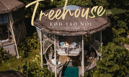 cover Treehouse Villa ความงามสะดุดตา หรูหรายิ่งกว่าใคร