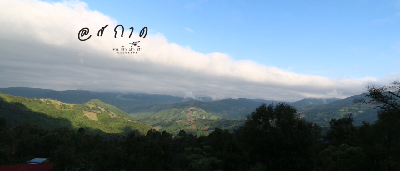 cover สกาด มองไปที่ปลายขอบฟ้า…