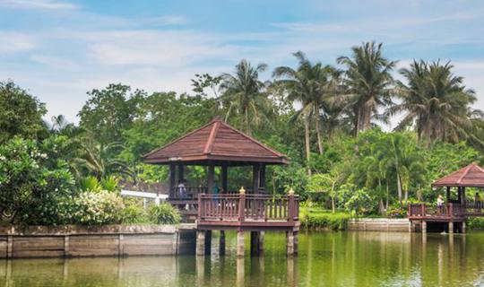 Cover ปล่อยใจให้เหงา บางกระเจ้า-ลัดโพธิ์...