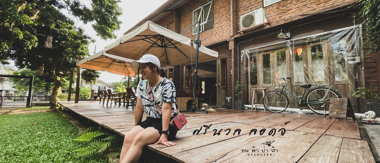 cover ศรีนวลลอดจ์ ที่พักสุดชิลเหมือนไปนอนบ้านเพื่อน