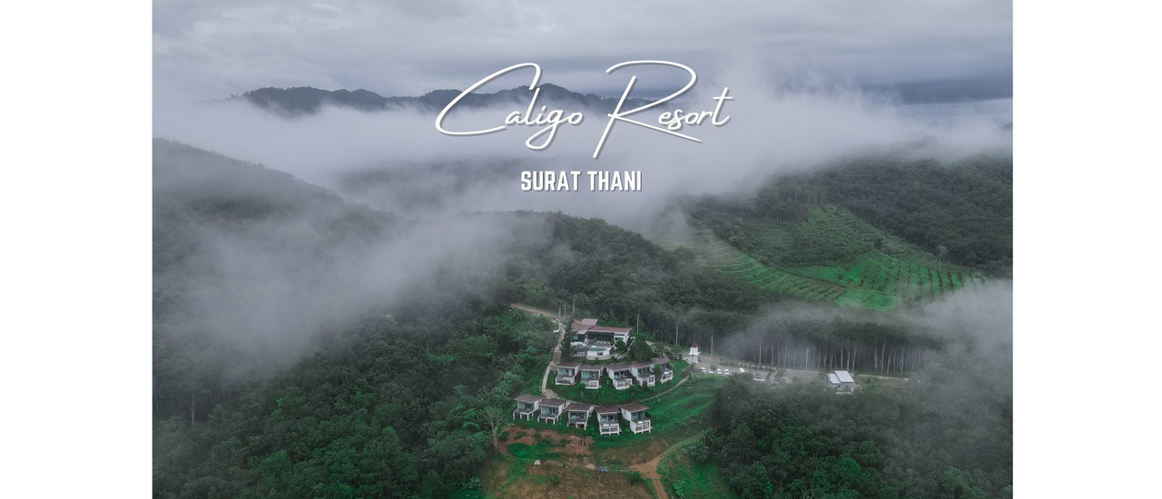 cover รีวิว Caligo Resort สุราษฎร์ธานี ที่พักวิลล่าส่วนตัวบนเนินเขา วิวสวย หมอกปัง ฟีลต่างประเทศ ใกล้เขื่อนเชี่ยวหลาน
