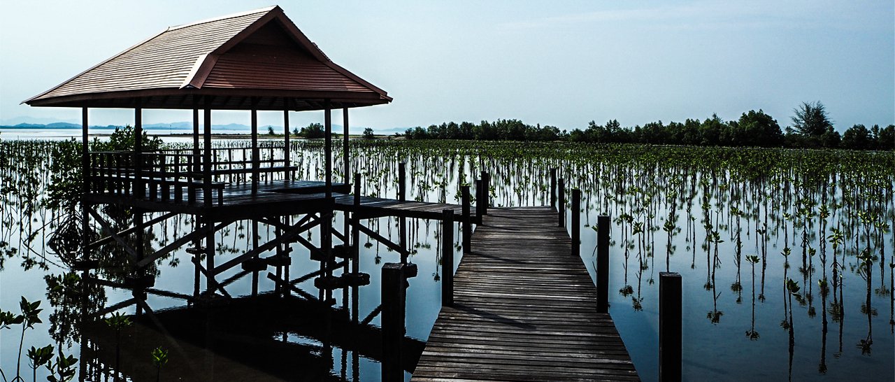 cover คนเดียว วันเดียว......เที่ยวระยอง