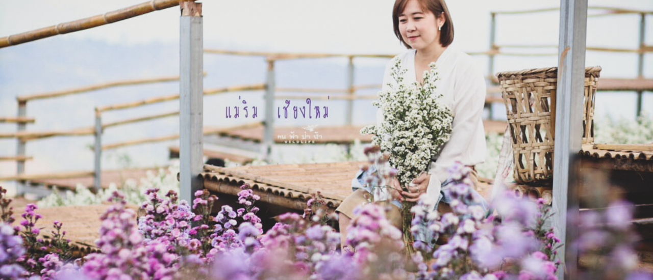 cover สวนดอกไม้งามแท้ ที่แม่ริม เชียงใหม่