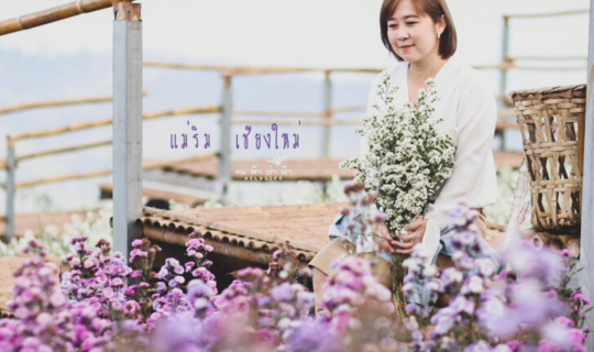 cover สวนดอกไม้งามแท้ ที่แม่ริม เชียงใหม่