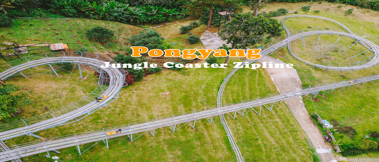 cover สุดเหวี่ยงที่ Pongyang Jungle Coaster Zipline