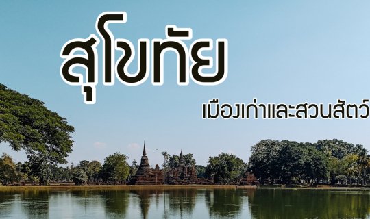 cover เที่ยวสุโขทัย ไปเมืองเก่าและสวนสัตว์