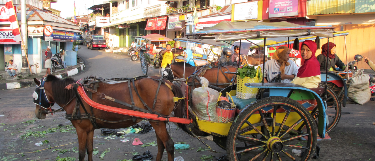 cover Walk In … Indonesia ตอนที่ 18 เดียงพลาโท (1) สู่แผ่นดินแห่งเทพเจ้า