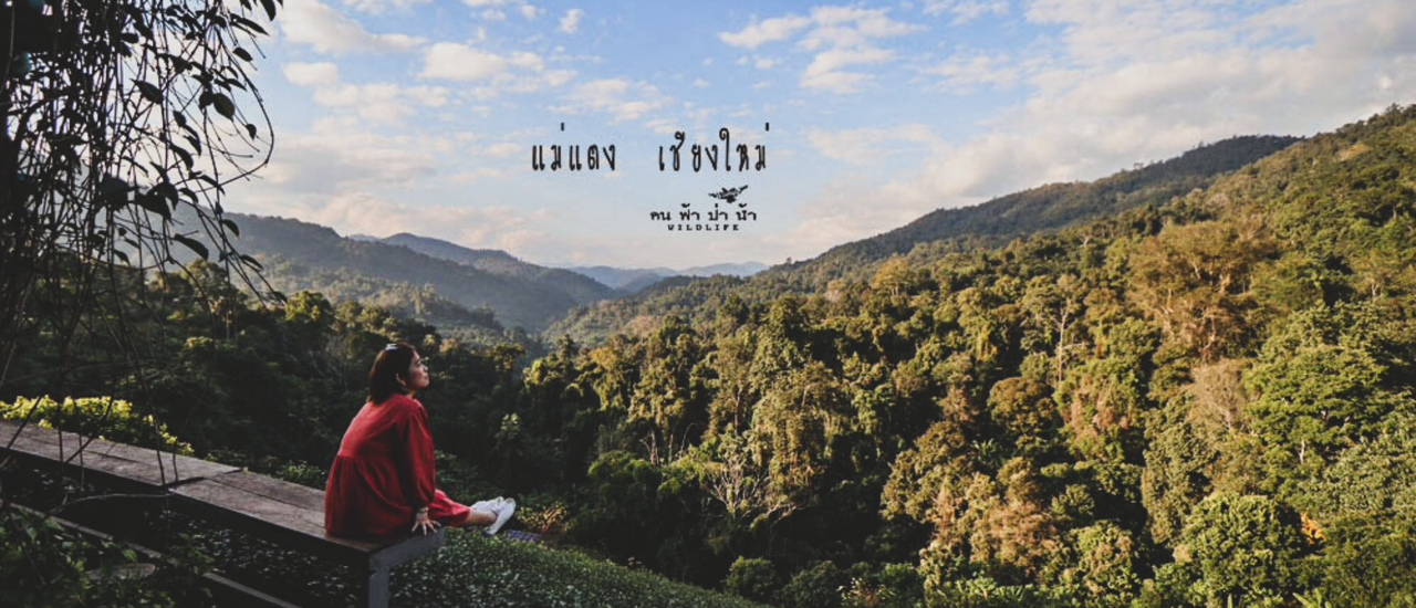 cover แม่แตง เชียงใหม่ เพลินเพลิน…