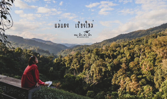 cover แม่แตง เชียงใหม่ เพลินเพลิน…