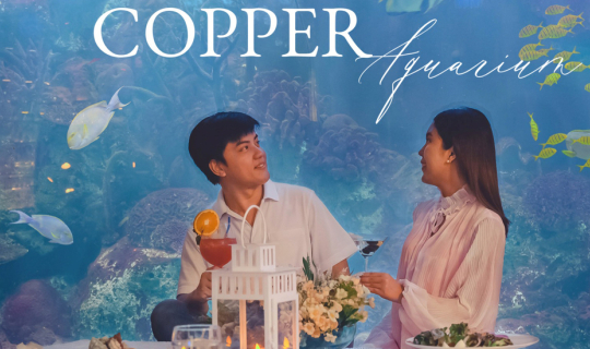 cover ทานอาหารวิวใต้น้ำ กับ 𝐌𝐨𝐫𝐞 𝐑𝐨𝐦𝐚𝐧𝐭𝐢𝐜 𝐌𝐨𝐦𝐞𝐧𝐭 𝐒𝐞𝐭 ที่ Copper Aquarium Restaurant