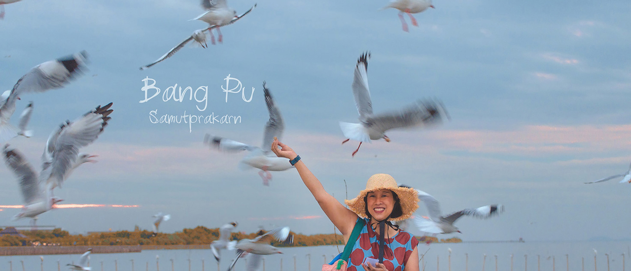 cover บางปู-น้องมาแล้ว ไปให้อาหารน้องกันค่ะ (ทริปนกต้องไม่นก)