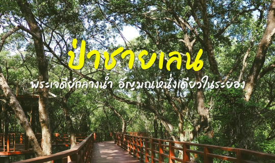 Cover โครงการป่าในเมืองระยอง | ป่าชายเลนพระเจดีย์กลางน้ำ...