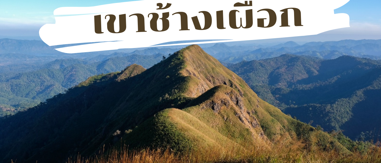 cover เรื่องของเรา กับ เขาช้างเผือก