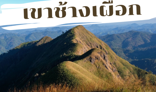 Cover เรื่องของเรา กับ เขาช้างเผือก...