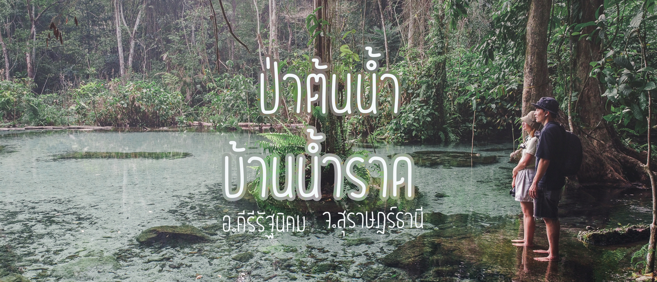 cover น้ำใสไหลเย็น เห็นตัวปลา ณ ป่าต้นน้ำบ้านน้ำราด สุราษฎร์ธานี