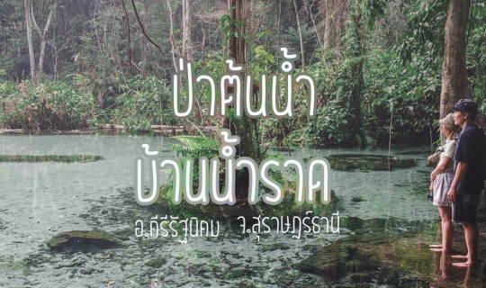cover น้ำใสไหลเย็น เห็นตัวปลา ณ ป่าต้นน้ำบ้านน้ำราด สุราษฎร์ธานี