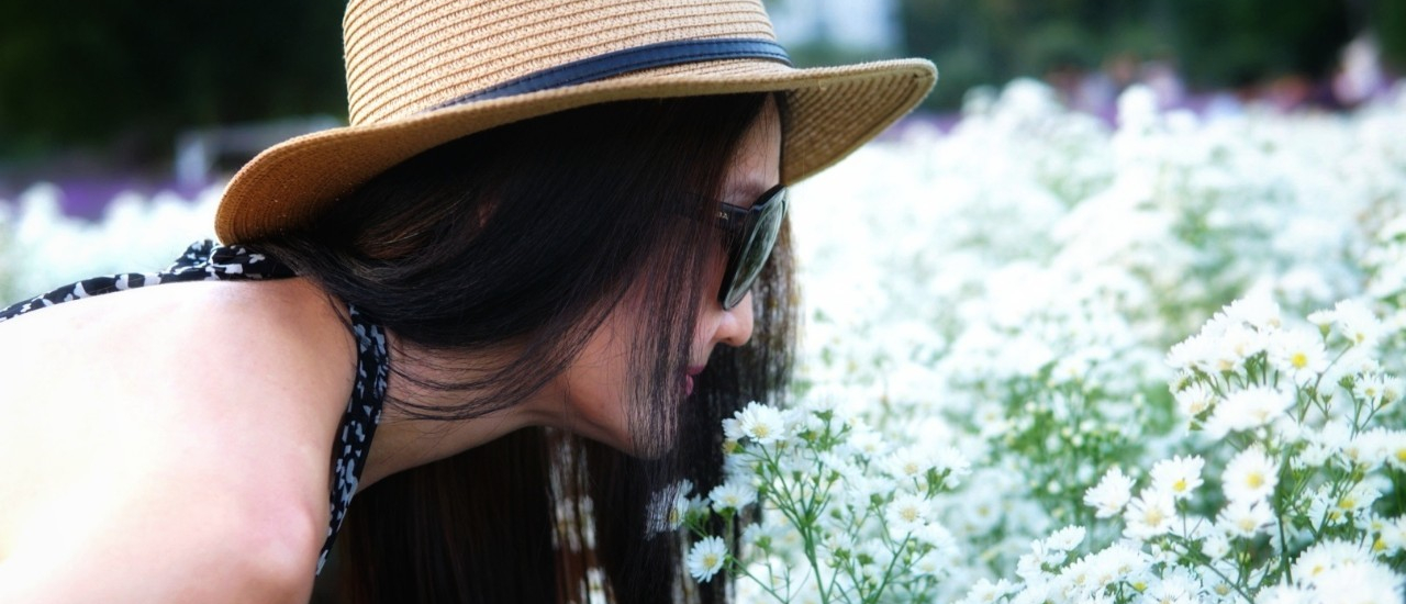 cover "เขาใหญ่" เที่ยวไหนดี . . . . Hokkaido Flower Park Khaoyai