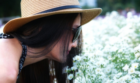 cover "เขาใหญ่" เที่ยวไหนดี . . . . Hokkaido Flower Park Khaoyai