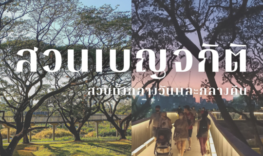 Cover เดินเล่นสวนเบญจกิติ สวยทั้งกลางวันและกลางคืน...