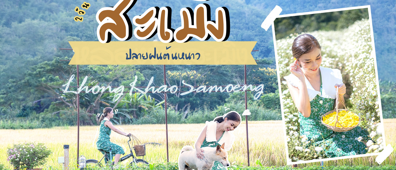 cover สะเมิง เชียงใหม่ ปลายฝนต้นหนาว..นอนหลองกลางนา เก็บสตรอว์เบอร์รี่สดๆ ชมทุ่งดอกเก็กฮวย หมอกสวยๆยามเช้า