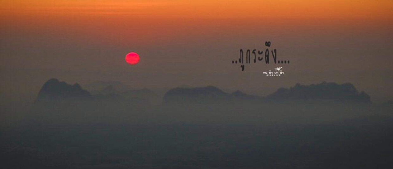 cover ภูกระดึง ตึงขาตรึงใจ…...