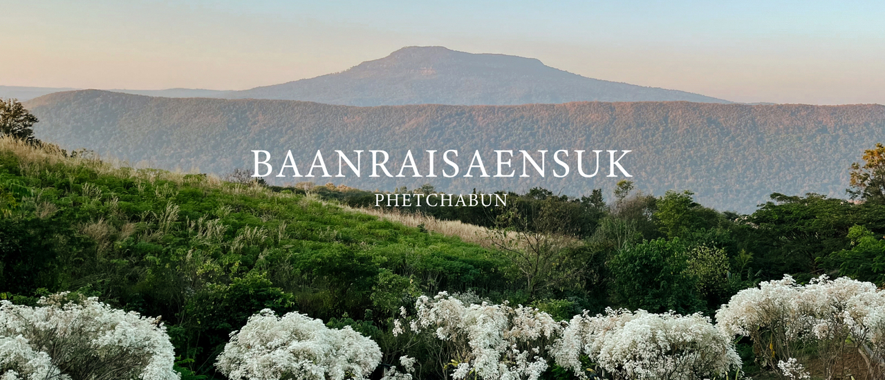 cover 2 วัน 1 คืน..นอนดูดาว รับลมหนาว ที่บ้านไร่แสนสุข จ.เพชรบูรณ์