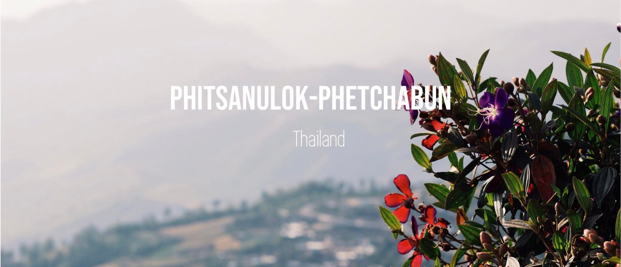 cover แบ่งปันเส้นทางน้ำตกชาติตระการ ลานหินปุ่ม ดุ่มๆไปเลยดั้น